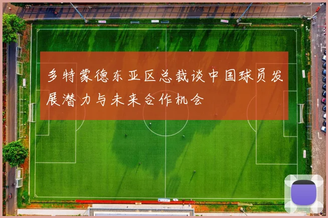 多特蒙德东亚区总裁谈中国球员发展潜力与未来合作机会