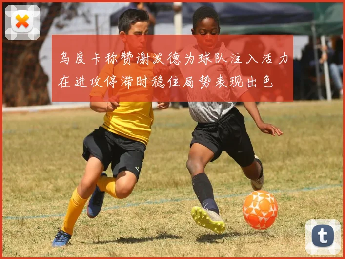 乌度卡称赞谢泼德为球队注入活力在进攻停滞时稳住局势表现出色