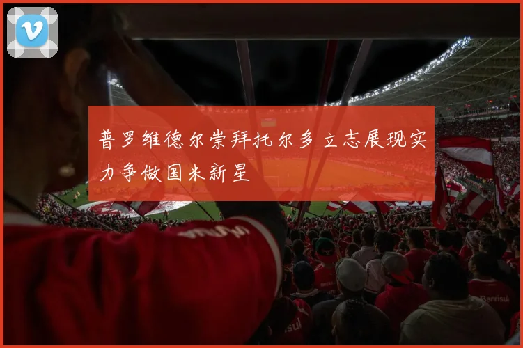 普罗维德尔崇拜托尔多立志展现实力争做国米新星