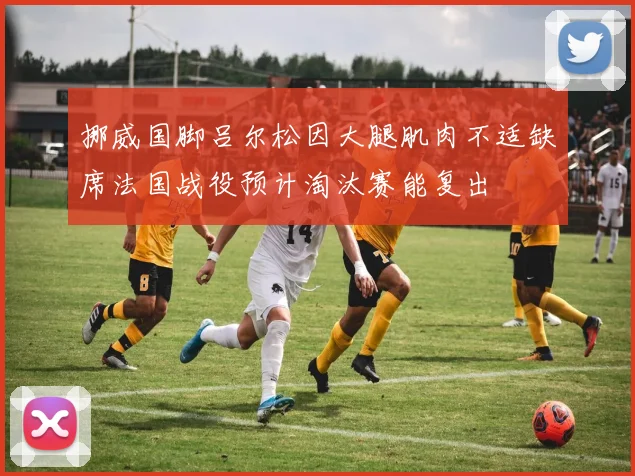 挪威国脚吕尔松因大腿肌肉不适缺席法国战役预计淘汰赛能复出
